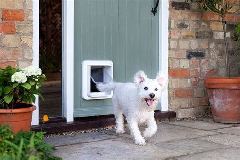 dog rfid tracking|rfid dog door.